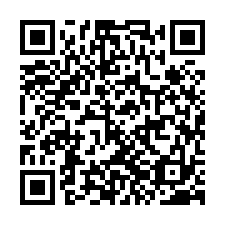 QR code for CZI833