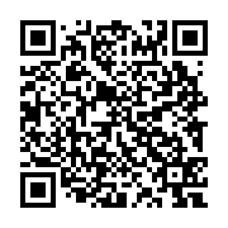 QR code for CZL335