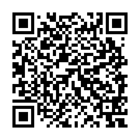 QR code for plate CZN 398