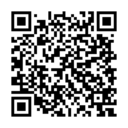 QR code for CZN519