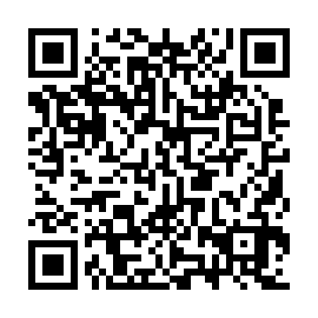 QR code for plate CZQ 232