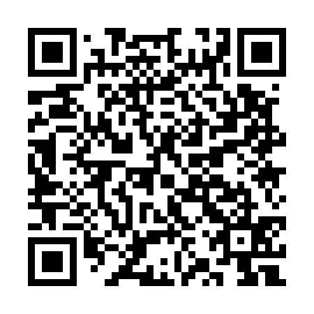 QR code for plate CZQ 535
