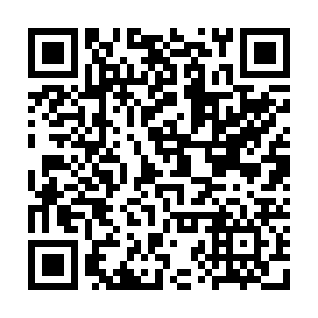 QR code for plate CZR 226