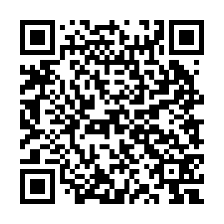 QR code for CZT 272