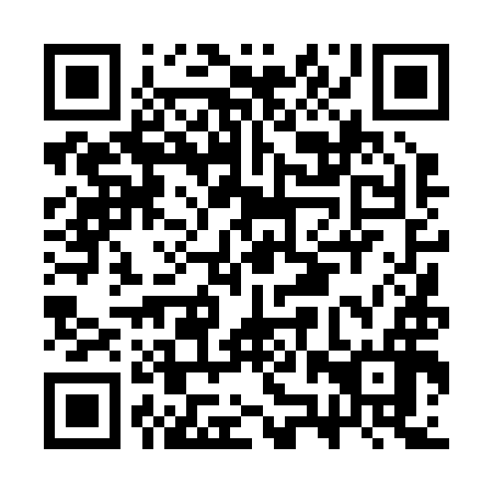 QR code for CZT 296
