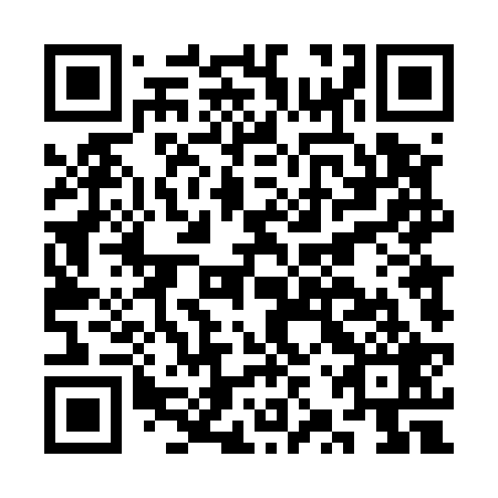 QR code for CZT529
