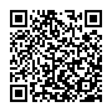 QR code for CZT581