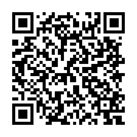 QR code for plate CZY 501