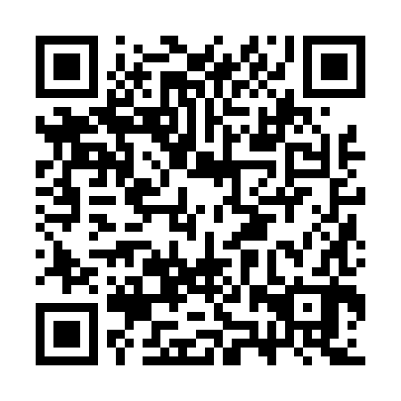 QR code for plate CZZ 482