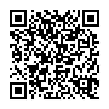 QR code for plate DAB 305