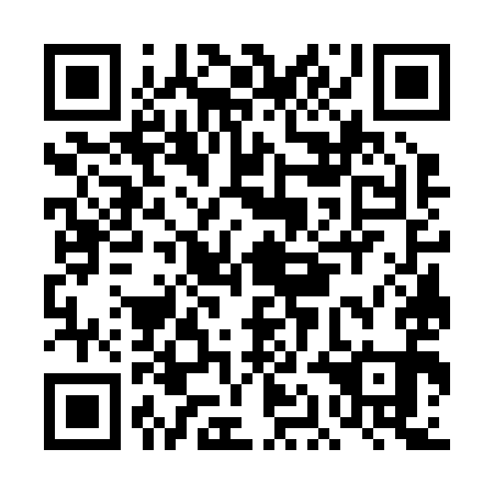 QR code for DAG 291