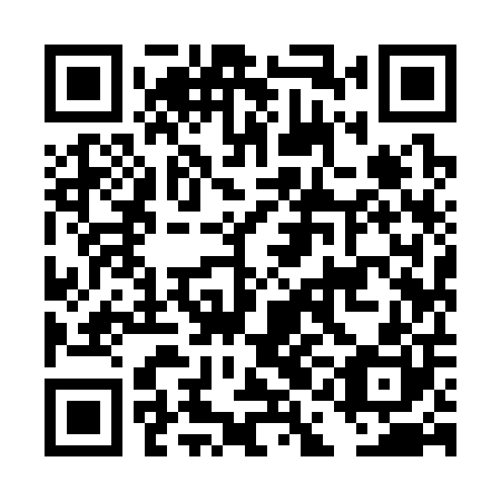 QR code for plate DAI 300