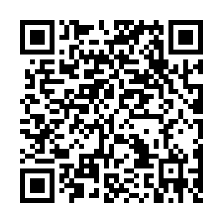 QR code for plate DAO 160