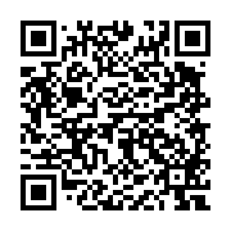 QR code for DAP 489