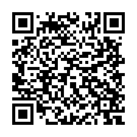 QR code for plate DAP 543