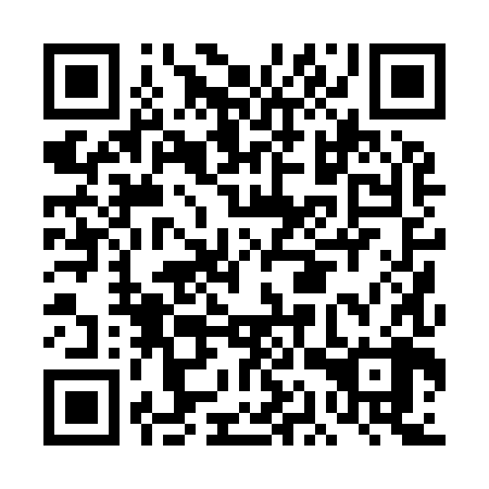 QR code for plate DAP 988