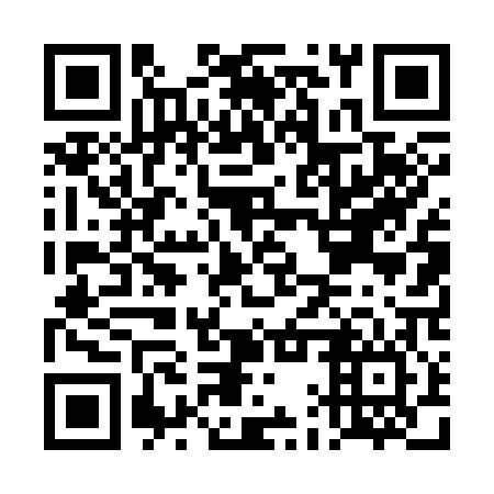 QR code for plate DAT 306