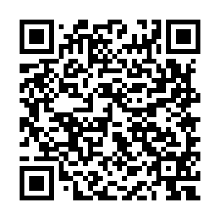 QR code for plate DAU 994
