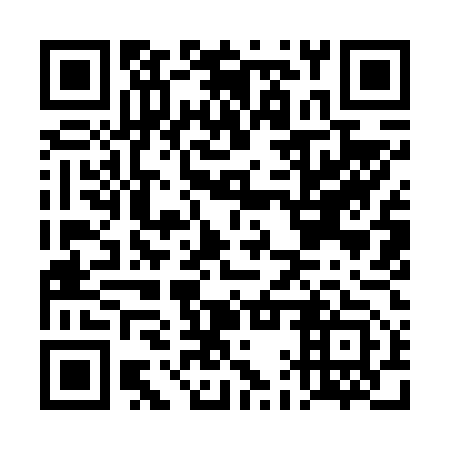 QR code for plate DAY 653