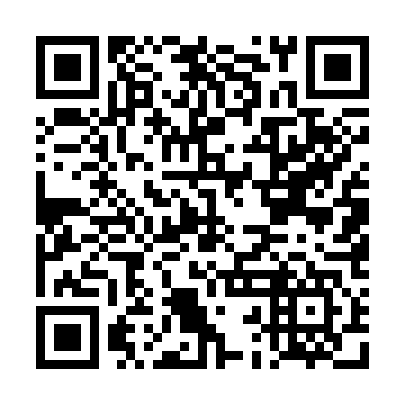 QR code for plate DBE 347