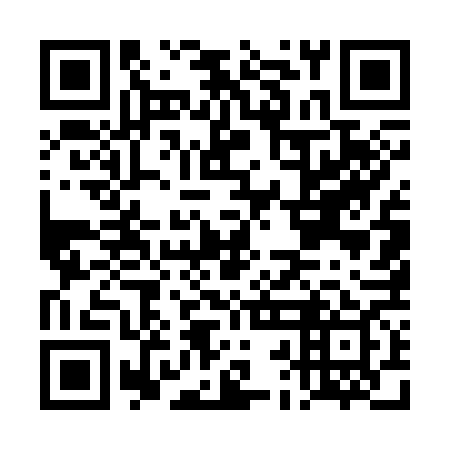 QR code for plate DBE 369