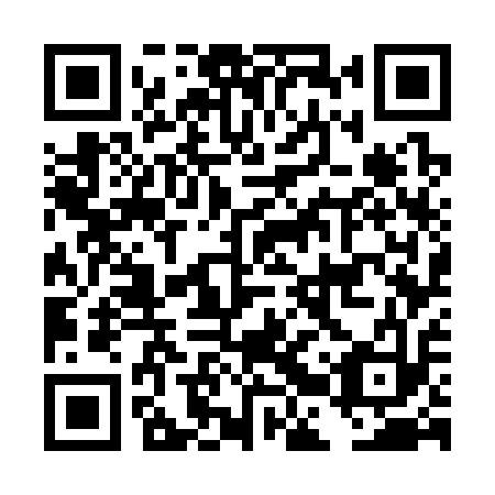QR code for plate DBW 313
