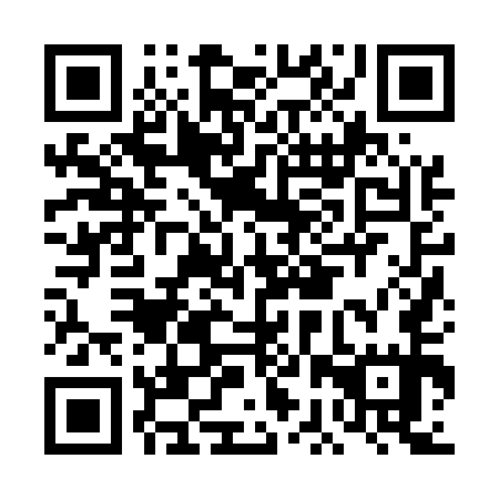 QR code for DBZ 555