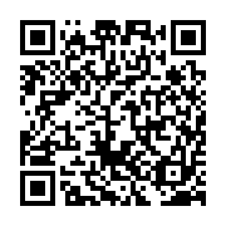 QR code for plate DCA 313