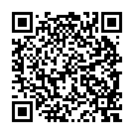 QR code for plate DCL 289