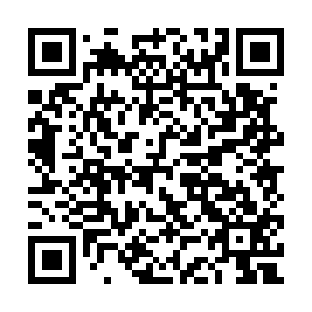 QR code for DCP 513