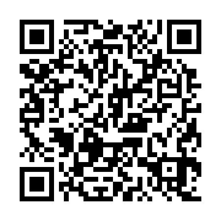 QR code for DCS333
