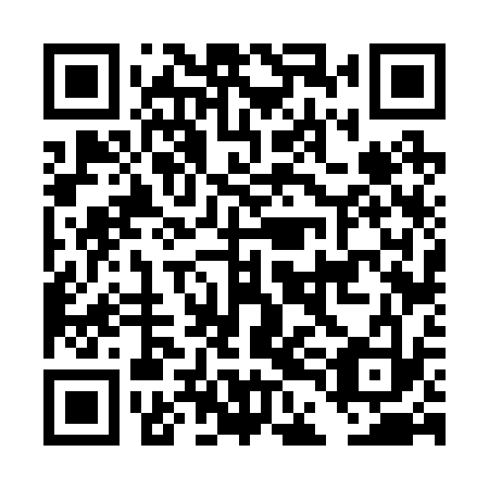 QR code for DDF 233