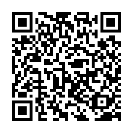 QR code for DDF 729