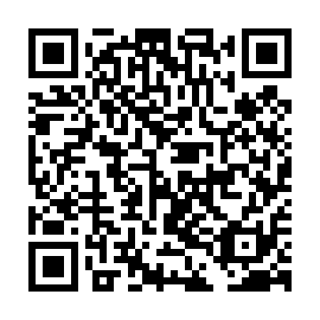 QR code for DDG411