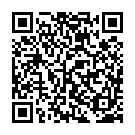 QR code for plate DDH 593