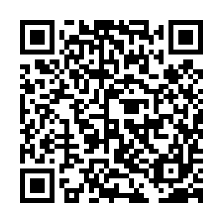 QR code for DDI 497