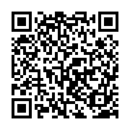 QR code for DDN 173