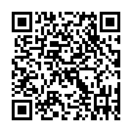 QR code for DDQ233