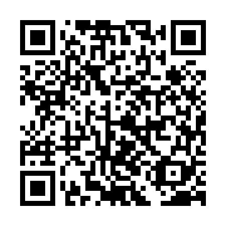 QR code for plate DEE 869