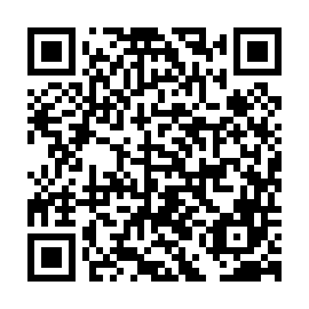 QR code for DEI 046