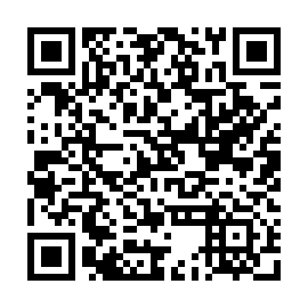 QR code for DEI513