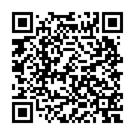 QR code for DEM 650