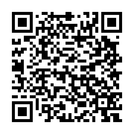 QR code for plate DEM 076