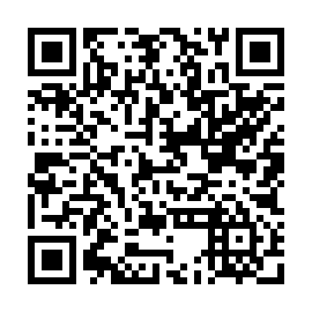 QR code for plate DEO 295