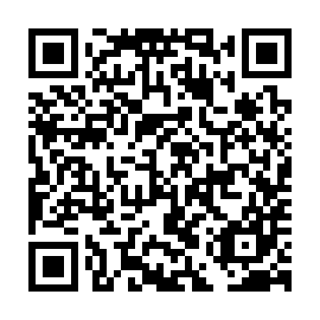 QR code for DES 387