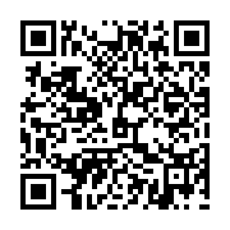 QR code for DET233