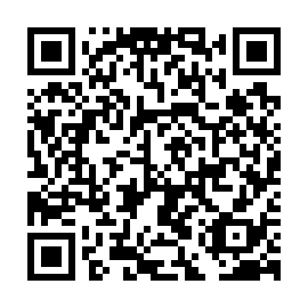 QR code for DEW 738