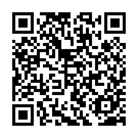 QR code for plate DEW 085