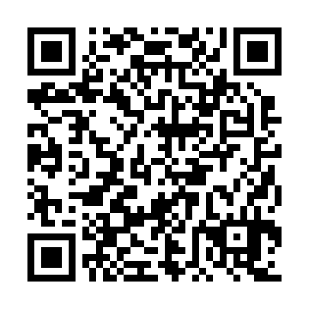 QR code for plate DFB 234