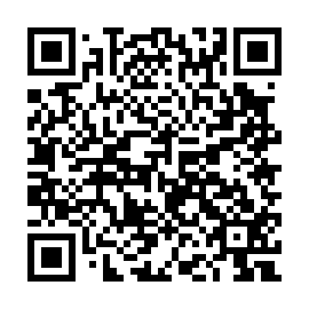 QR code for plate DFE 013